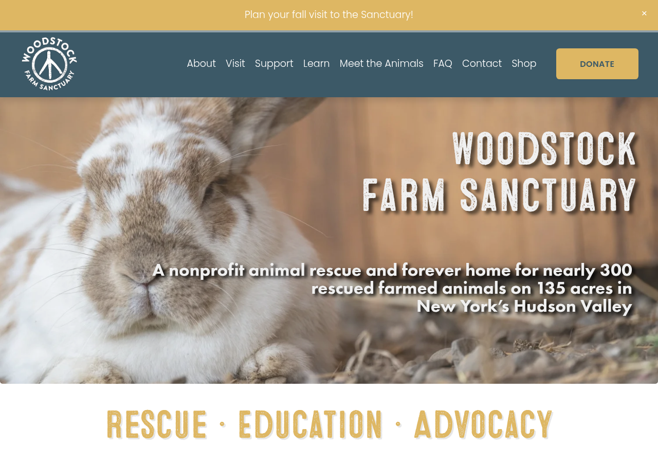 Woodstock Sanctuary live website homepage screenshot
